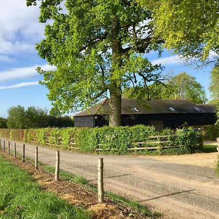 Mulberry Barn Bed & Breakfast Micheldever ภายนอก รูปภาพ