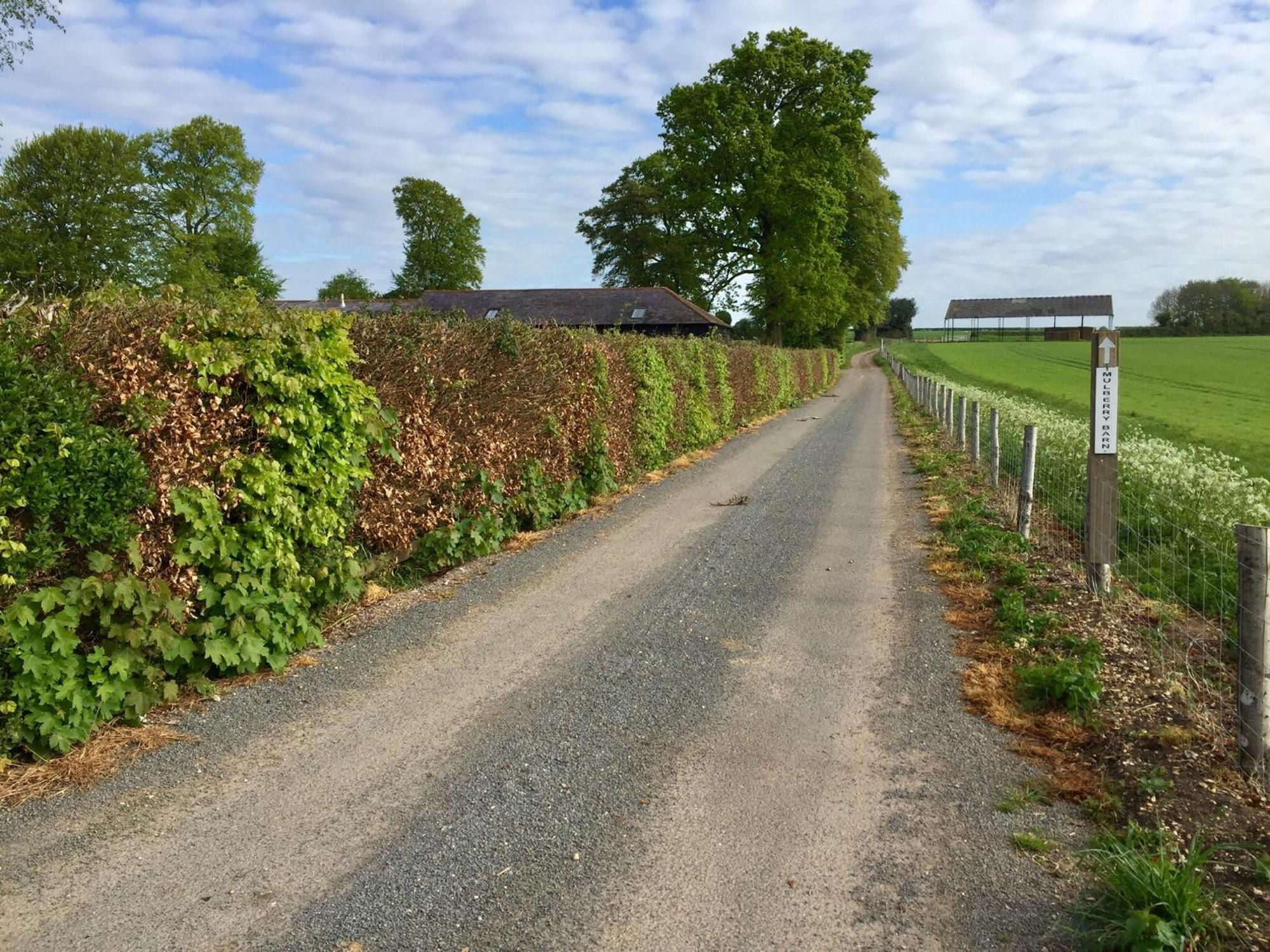 Mulberry Barn Bed & Breakfast Micheldever ภายนอก รูปภาพ